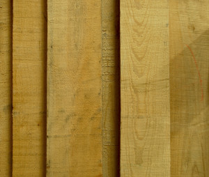 Rough Soft Maple boards