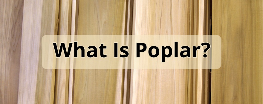 Why Poplar Wood is Perfect For Wood Carving?