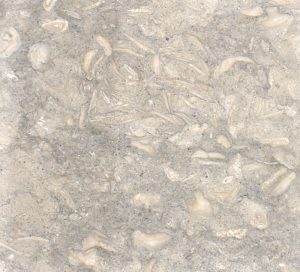 Seagrass 12x12 Natural Stone Tile