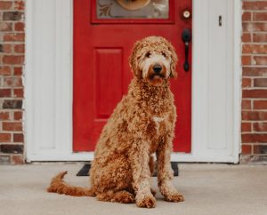 how do you determine an exterior door swing