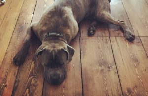 how to fill gaps and cracks in hardwood floors