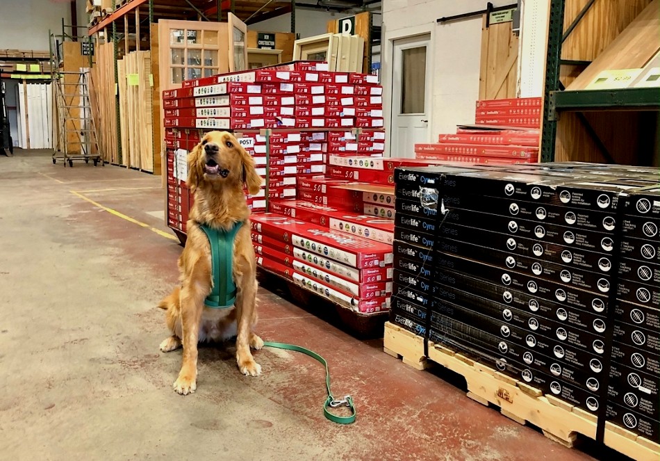 Home depot dog store supplies