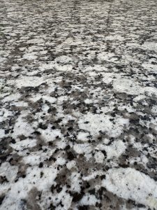 Detailed close-up of Gran Perla Granite countertop in Newport White Kitchen Cabinet Display